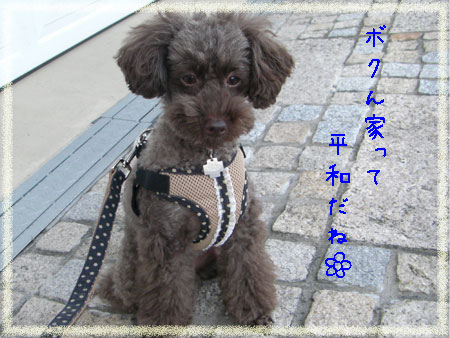 平和