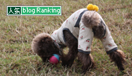 犬ブログランキング