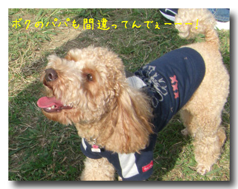 まちがい