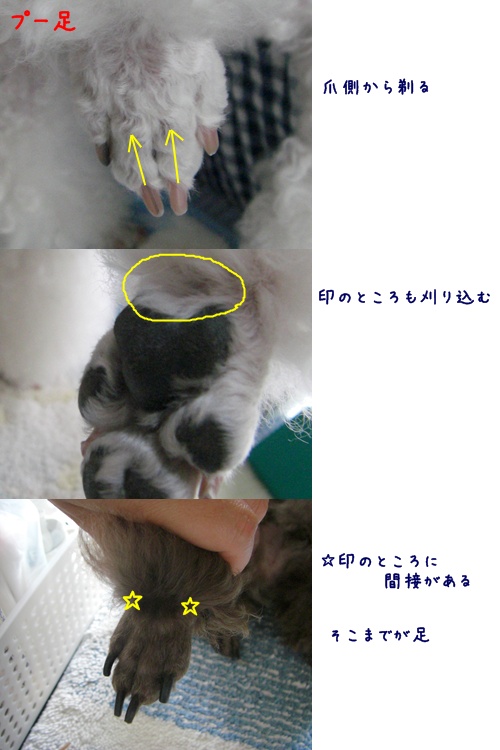トリミング