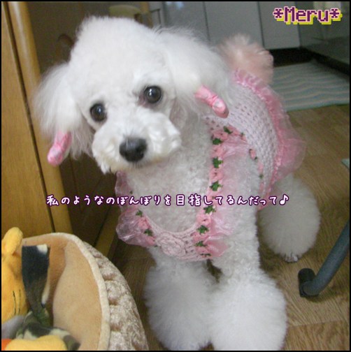 �ȥ��ס��ɥ�