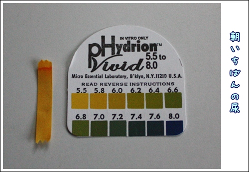 PH チェッカー