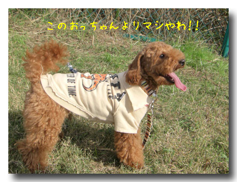 まし