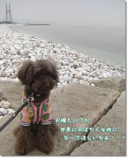 �椺