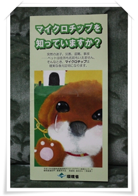 マイクロチップ