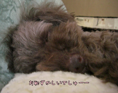 �椺