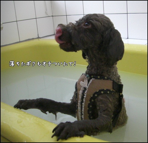 �椺