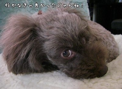 �椺