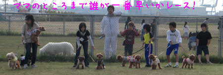走る