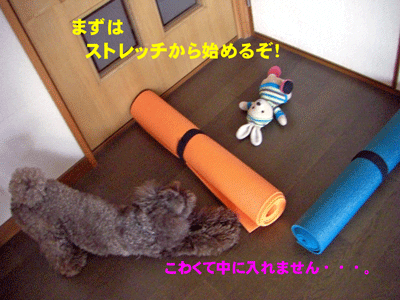 ストレッチ