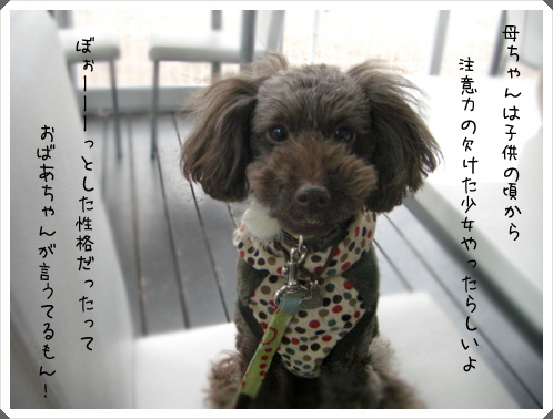 �椺