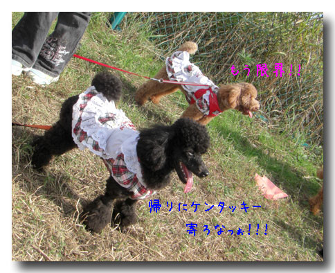 え