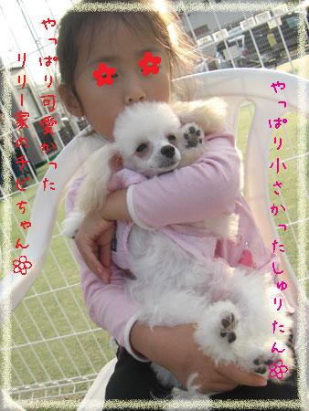 チビちゃん