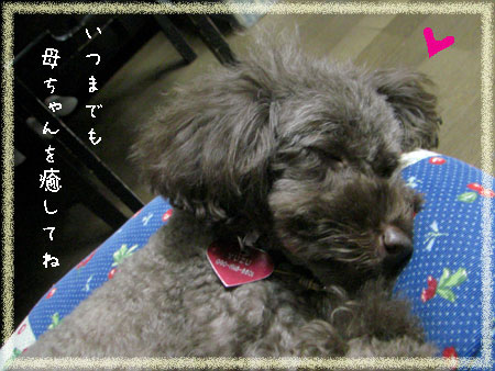 癒し