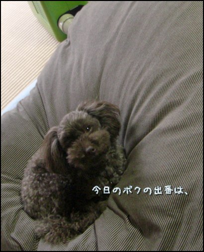 �椺