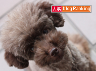 犬ブログランキング