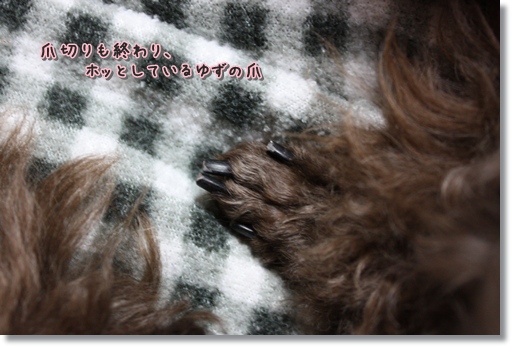 爪切り