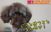 犬ブログランキング