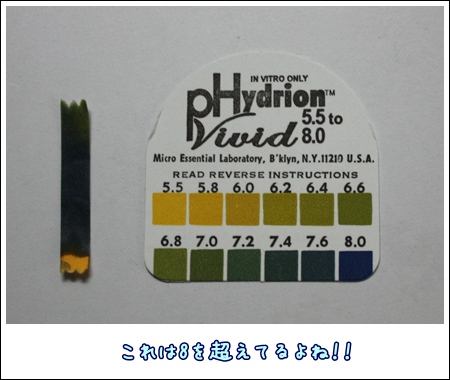 PHチェッカー