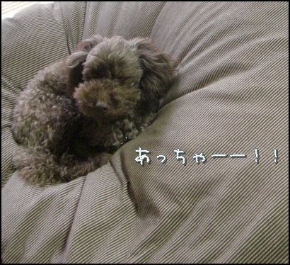 �椺