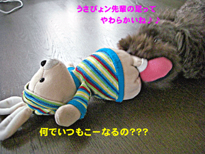何で