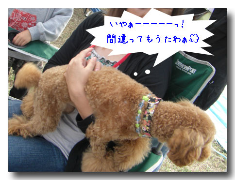いやぁー