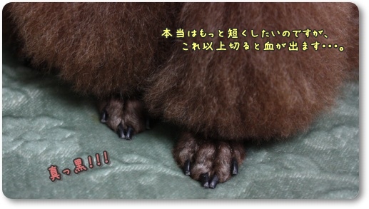 爪切り