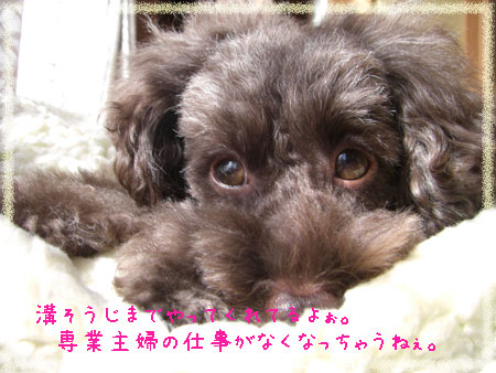 溝そうじ
