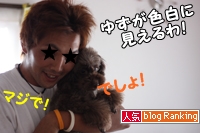 犬ブログランキング