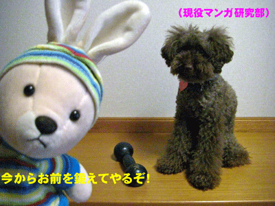鍛える