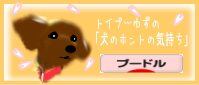 トイプードル村
