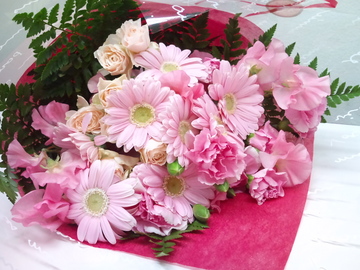 9dec0042.jpg
