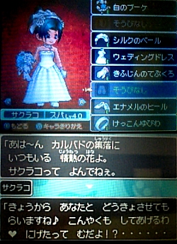 ドラクエ9_すれ違い5