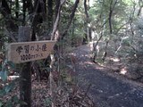 中京大学学習の小径