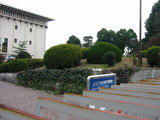 名古屋市博物館の和風庭園