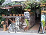 e17b04e9.jpg
