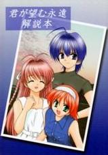 君が望む永遠 解説本