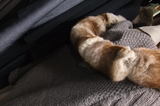 2009_10130017