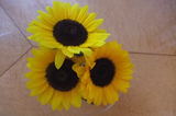 2009_09100026