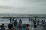 2009_08020050
