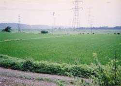 ���䤹�餰�ı�����