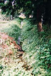 �֤ε���뾮��