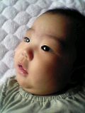 200410042