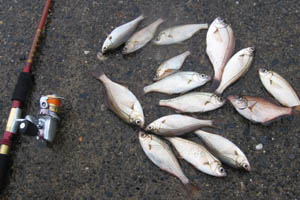 釣り3