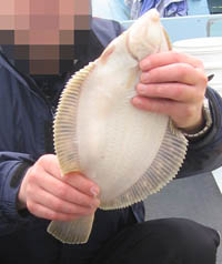 釣り2