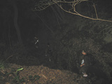 ����ۤ�ë��ۤ��ʤ������׵���