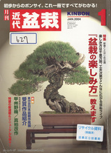 盆栽の近代とは