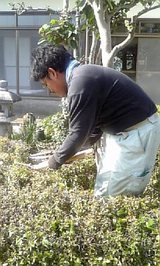 �������줤�ˤʤ�ޤ�����