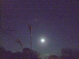 DSCF1342