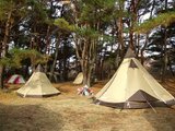 DSCF1421